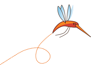 Mosquito