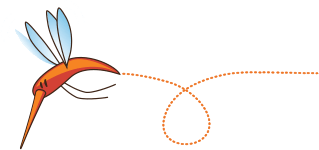 Mosquito